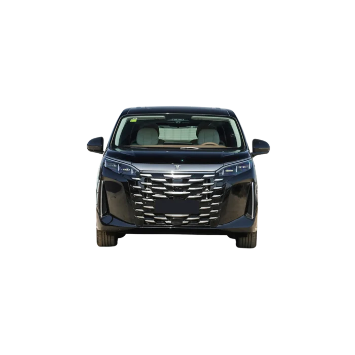 BYD Summer DM-i - Görsel 5