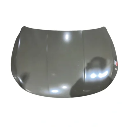 Ön kapot BYD Destroyer 05 üçün, ağ